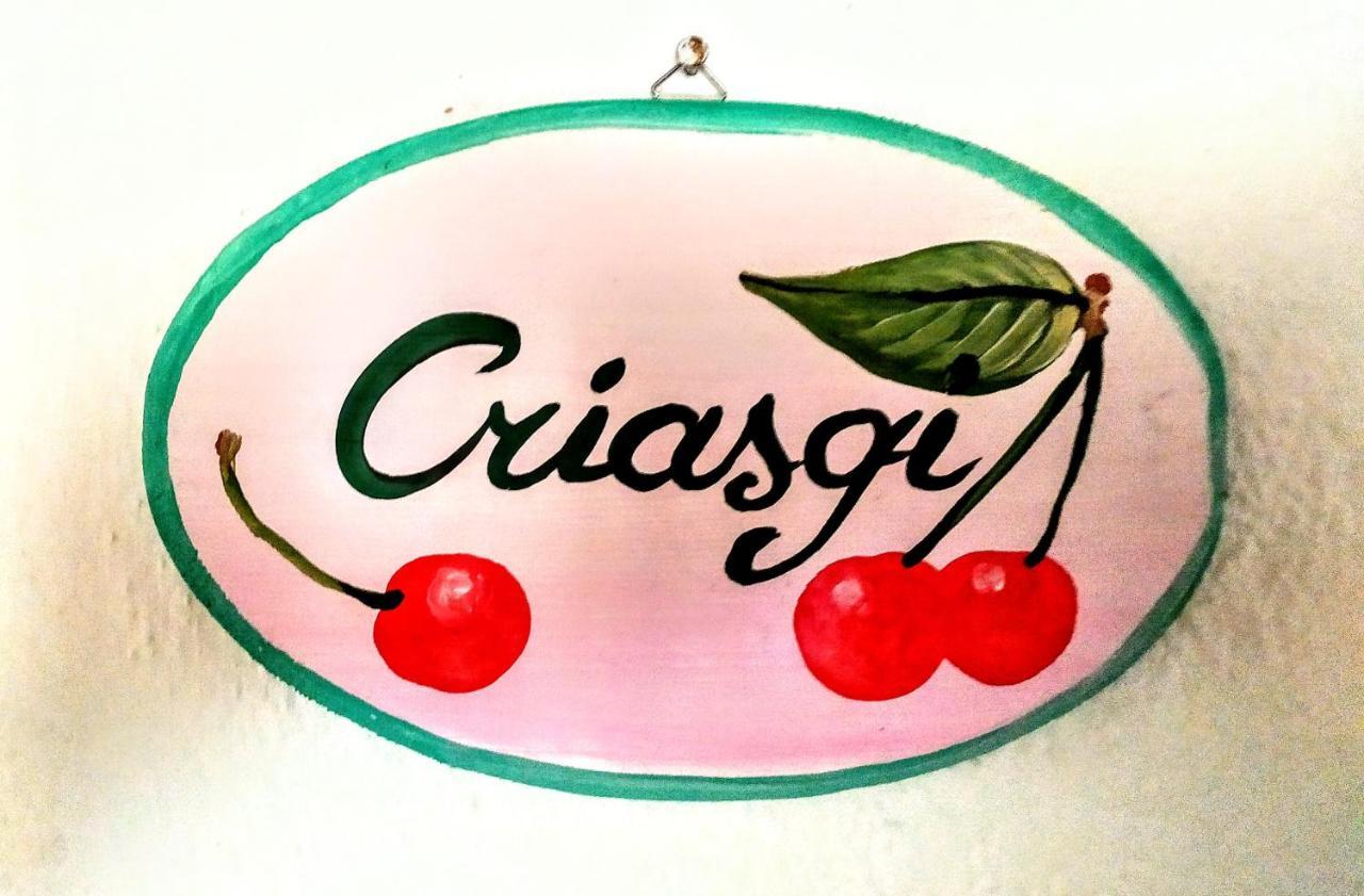 Gallura Experiences Li Criasgi Aggius Exterior foto
